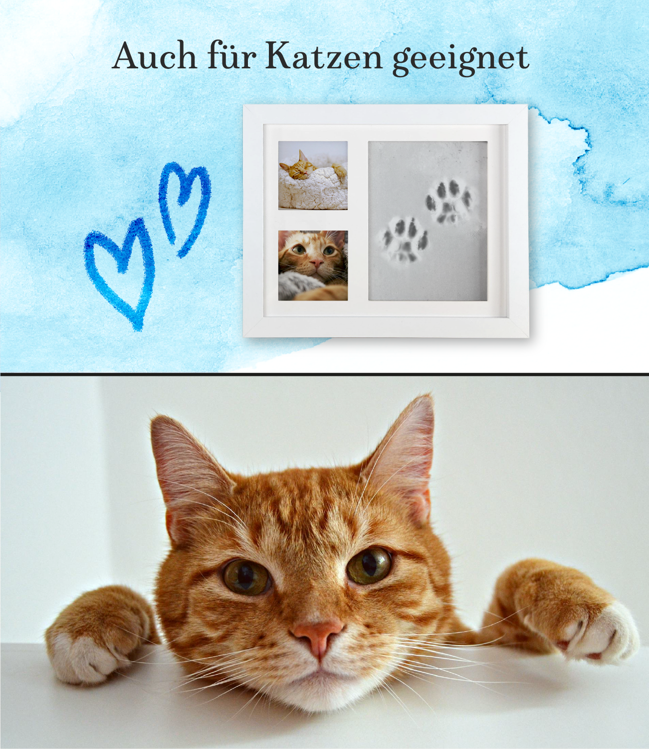Pfotenabdruck Set