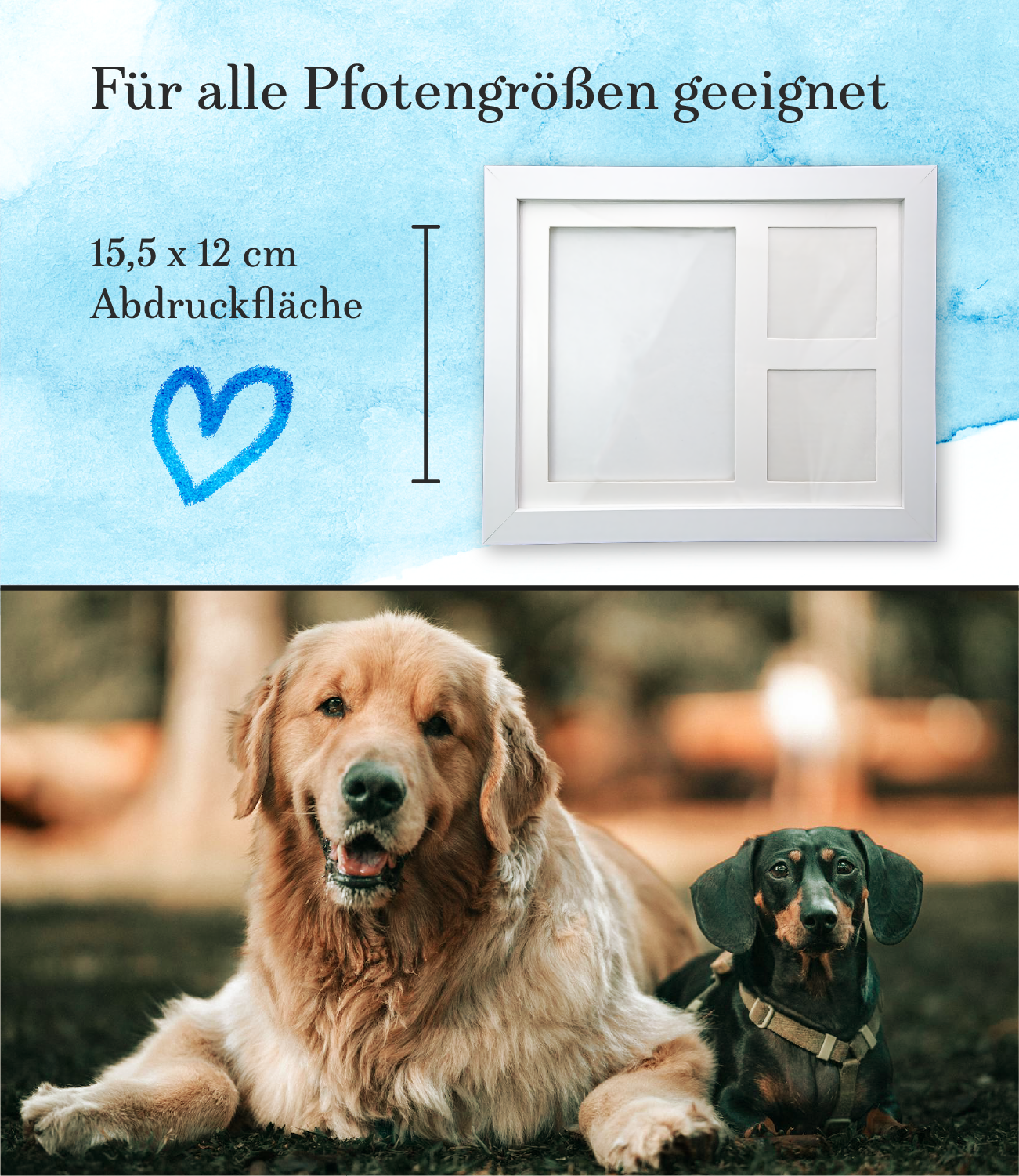 Pfotenabdruck Set