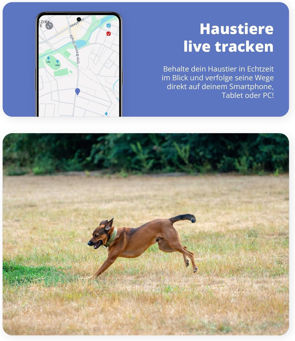 TierSicher TiSi One GPS Tracker
