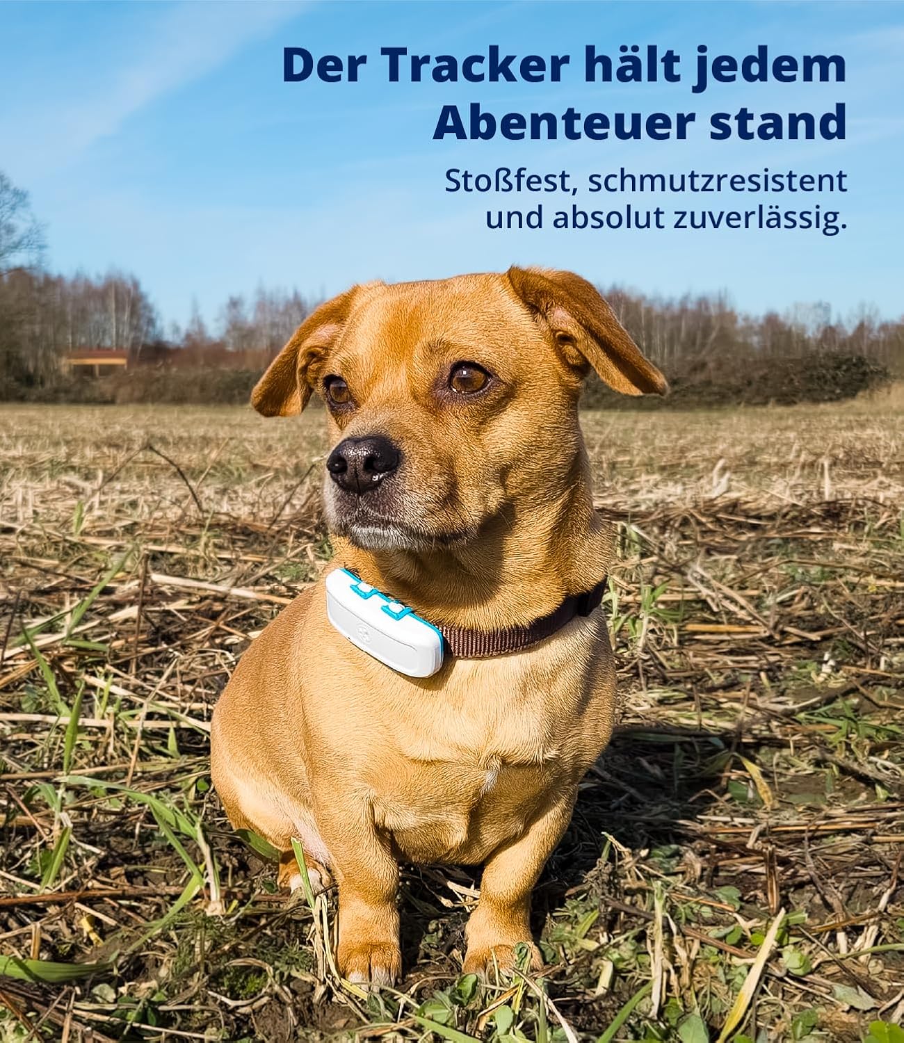 TierSicher TiSi One GPS Tracker